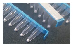 Cytiva illustra Ready-To-Go GenomiPhi V3 DNA Amplification Kit 96 reactions:PCR