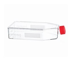 Greiner Bio-One CELLCOAT Collagen Type I Coated Cell Culture Flask 175 cm<sup>2</sup> | Buy Online | Greiner Bio-One | Fisher Scientific