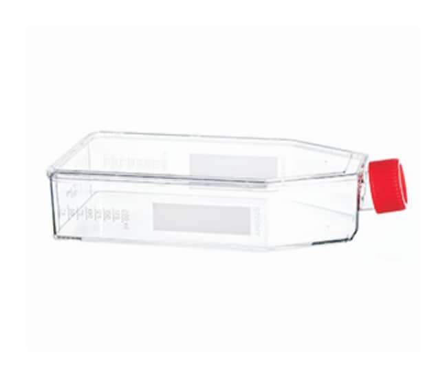 Greiner BioOne CELLCOAT Collagen Type I Coated Cell Culture Flask