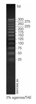 Promega 25bp DNA Step Ladder Molecular Weight Marker for