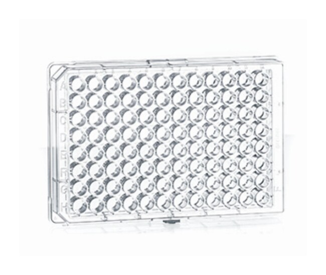 CELLSTAR 6-Well Cell Culture Plate, TC Treated, Sterile, Flat Bottom, 100-Pack (657160)