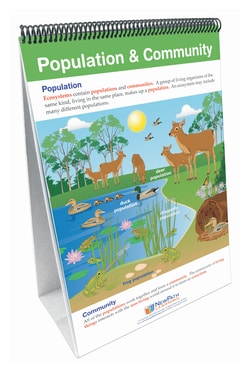 NewPath Learning™ What Are Ecosystems Flip Chart, Grades 3 - 5