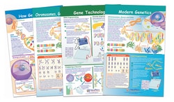 NewPath Learning™ Chromosomes Bulletin Board Activity Chart Set of 4; Grades 6 - 10