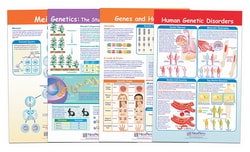 NewPath Learning™ Genetics & Heredity Bulletin Board Activity Chart Set of 4; Grades 6 - 10