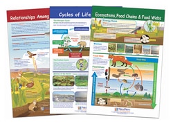 NewPath Learning™ Ecology Bulletin Board Activity Chart Set of 3; Grades 6 - 10