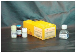 Promega&nbsp;ENLITEN&trade; ATP Assay System