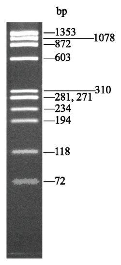 Thermo Scientific™ Low Molecular Weight Markers