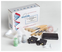 Edvotek™ Whose Fingerprints Were Left Behind? Experiment Kit