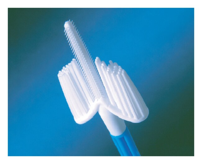 Fisherbrand Cervex-Brush Combination Cervex-Brush Combination:Clinical ...