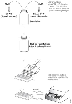 Promega&nbsp;MultiTox-Fluor&trade; Multiplex Cytotoxicity Assay