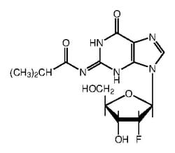 Thermo Scientific Chemicals&nbsp;2'-Fluoro-N2-isobutyryl-2'-deoxyguanosine, 98%