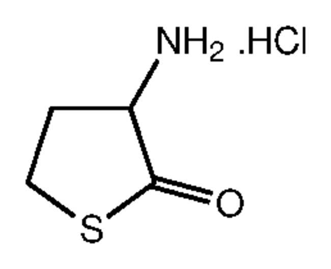 Alfa Aesar™ DLHomocysteine thiolactone hydrochloride, 99