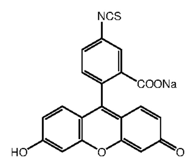 Alfa Aesar Fluorescein isothiocyanate, isomer 1, 95 1gChemicals