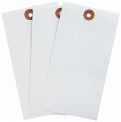 Brady&trade;&nbsp;White Tyvek&trade; Tags