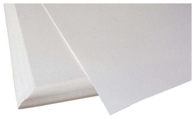 10 Feuilles Papier Chromatographie Grade 1 - 290 X 290 Mm, Papier Filtre Cellulosique