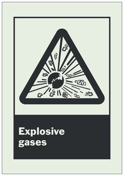 Brady BradyGlo Warning Sign: EXPLOSIVE GASES 7 x 10 in. | Buy Online | Brady&trade; | Fisher Scientific