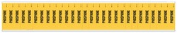 Brady&trade;&nbsp;Semiconductor and Chemical Pipe Marker: PHOSPHINE