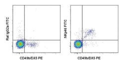 anti-NKp46/NCR1 FITC, Clone: 29A1.4, Invitrogen 50&mu;g; FITC:Antibodies,