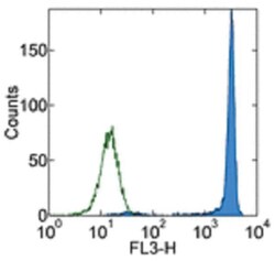 anti-CD90.1/Thy-1.1 PerCP-Cy5.5 , Clone: HIS51, Invitrogen 25 Tests; PerCP-Cy5.5&trade;:Antibodies,