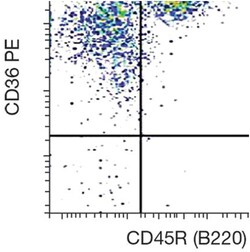 anti-CD36 PE, Clone: 72-1, Invitrogen 50&mu;g; PE:Anticorps, Monoclonal