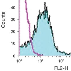 anti-Integrin alpha V/CD51 PE, Clone: RMV-7, Invitrogen 50&mu;g; PE:Antibodies,