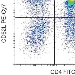 anti-CD62L/L-Selectin PE-Cy7 , Clone: DREG-56, Invitrogen 25 Tests; PE-Cy7&trade;:Antistoffer