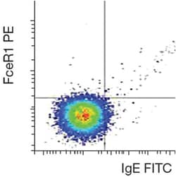 anti-Fc epsilon Receptor I alpha/FceR1 PE, Clone: AER-37, Invitrogen 25 Tests | Buy Online | Invitrogen | Fisher Scientific