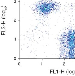 anti-Erythroid Cell Marker/TER-119 Antigen PE-Cy7 , Clone: TER-119, Invitrogen