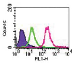 Rabbit IgG Isotype Control, Invitrogen 100&mu;g; Unlabeled:Antibodies,