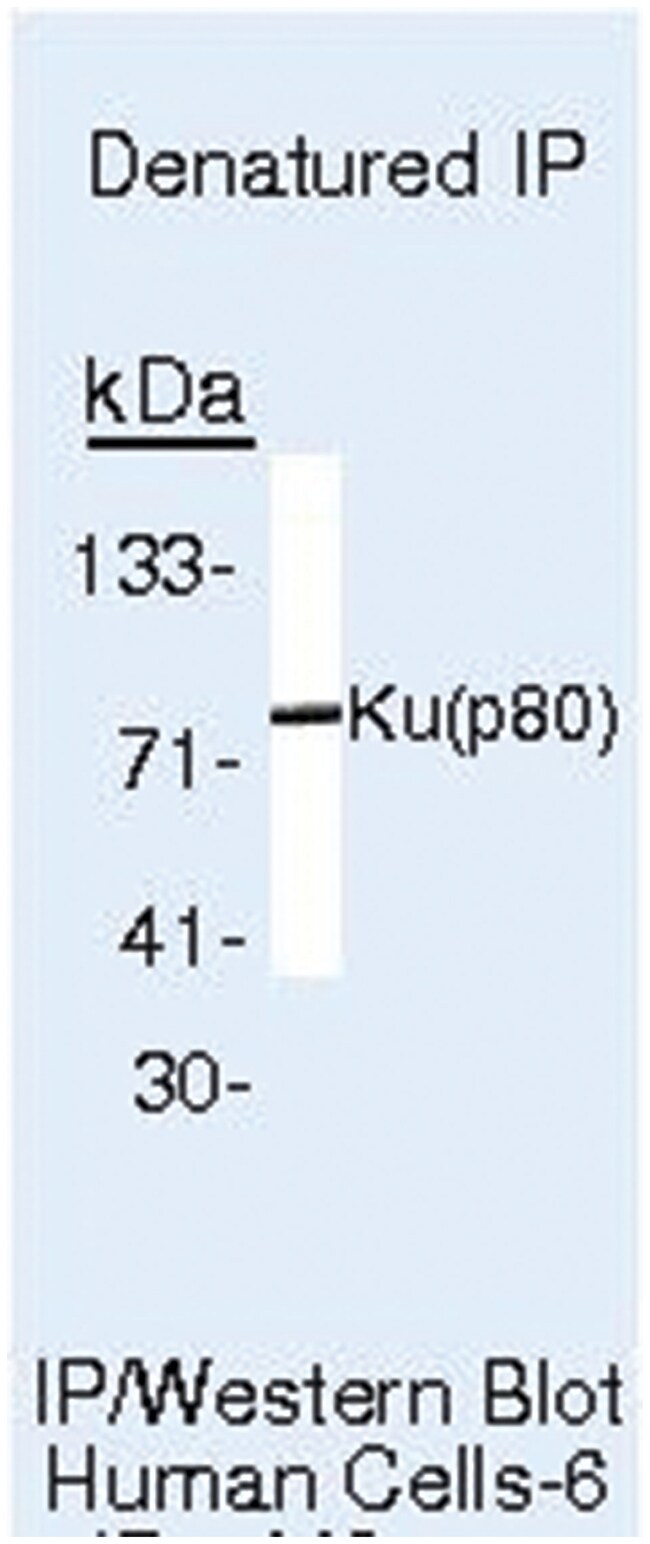 facs tubes