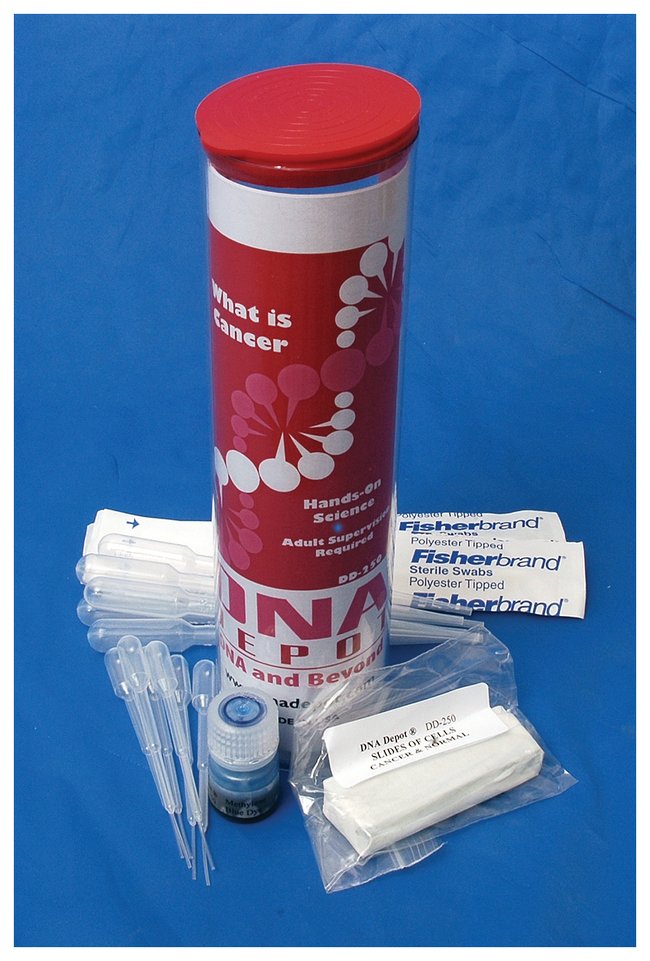 What is Cancer Kit What is CancerEducation Supplies, Quantity Each of