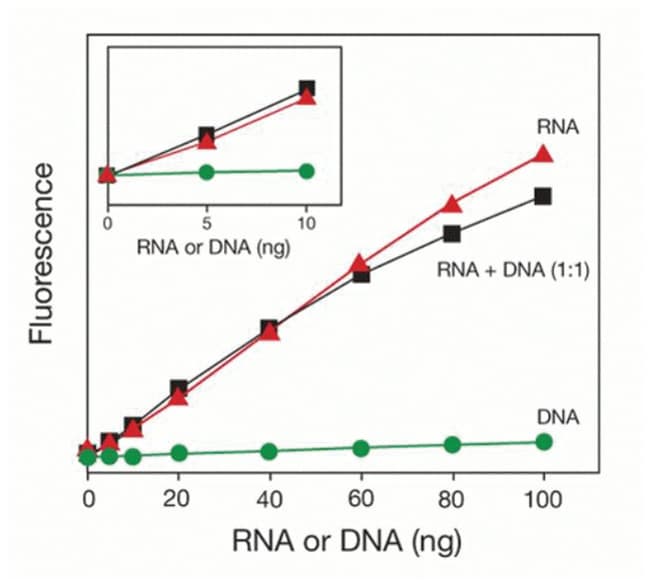 Invitrogen QuantiT Qubit RNA HS Assay Kit 100 assaysLife Sciences