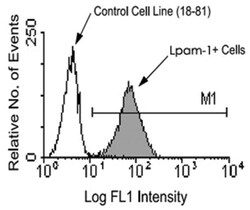 Lpam-1, Rat, Clone: DATK32, Abnova 500&mu;g; Unlabeled:Antibodies, Monoclonal