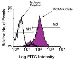 MCAM, Mouse, Clone: C264, Abnova 500&mu;g; Unlabeled:Antibodies, Monoclonal