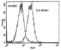 BCL2L1, Mouse, Clone: 7B2.5, Abnova 100&mu;g; Unlabeled:Antibodies, Monoclonal
