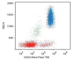 CD24, Mouse, Clone: SN3, Abnova 100&mu;g; Unlabeled:Antibodies, Monoclonal