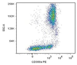 CD300A, Mouse, Clone: MEM-260, Abnova 100&mu;g; Unlabeled:Antibodies, Monoclonal