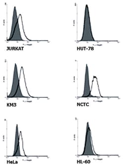 TNFRSF21, Mouse, Clone: DR-6-04-EC, Abnova 100&mu;g; Unlabeled:Antibodies,