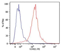 VIM, Mouse, Clone: VI-RE/1, Abnova 100&mu;g; Unlabeled:Antibodies, Monoclonal