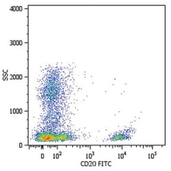 MS4A1, Mouse, FITC, Clone: LT20, Abnova 100 Reactions; FITC:Antibodies,