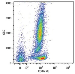 CD46, Mouse, PE, Clone: MEM-258, Abnova 100 Reactions; PE:Antibodies, Monoclonal