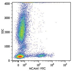 NCAM1, Mouse, APC, Clone: MEM-188, Abnova 100 Reactions; APC:Antibodies,