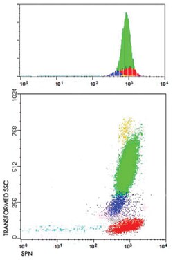 SPN, Mouse, Clone: TP1/36, Abnova 1mg; Unlabeled:Antibodies, Monoclonal