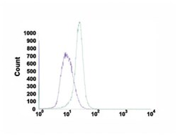 MS4A1, Rabbit, Clone: SP32, Abnova 100 &mu;L | Buy Online | Abnova Corporation | Fisher Scientific