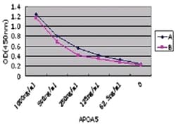 APOA5, Mouse, Clone: 2G1H11, 1F1E8, Abnova 200&mu;g; Unlabeled:Antibodies,