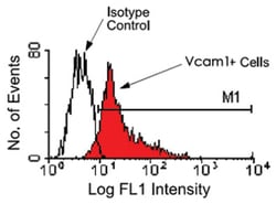 Vcam1, Rat, Clone: M/K-2, Abnova 500 &mu;g | Buy Online | Abnova | Fisher Scientific