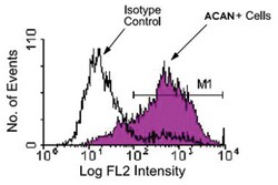 IL2ra, Rat, APC, Clone: 7D4, Abnova 100 &mu;g | Buy Online | Abnova | Fisher Scientific