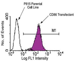 Cd86, Rat, APC, Clone: GL1, Abnova 100&mu;g; APC:Antibodies, Monoclonal