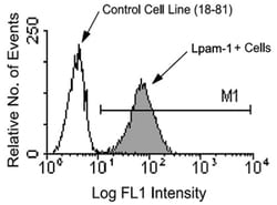 Lpam-1, Rat, Biotin, Clone: DATK32, Abnova 500&mu;g; Biotin:Anticuerpos