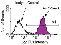 H2-D2, Mouse, PE, Clone: 28-14-8, Abnova 100&mu;g; PE:Antibodies, Monoclonal